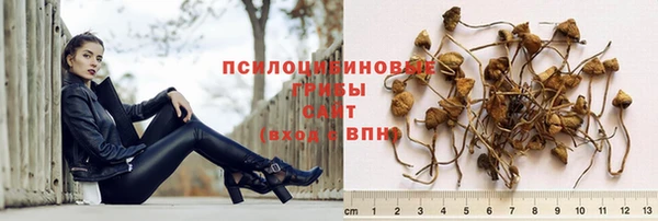 бутират Алексин