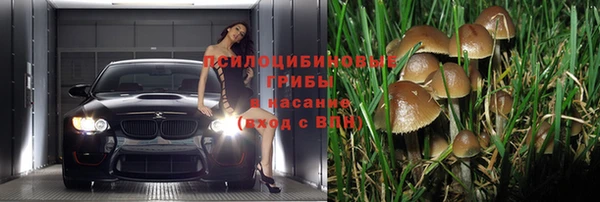 стафф Алексеевка